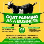 Goat farming merchandise uganda